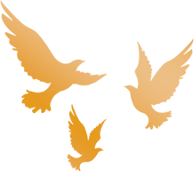 赓续红色血脉·坚定理想信念”主题党日活动(图1)